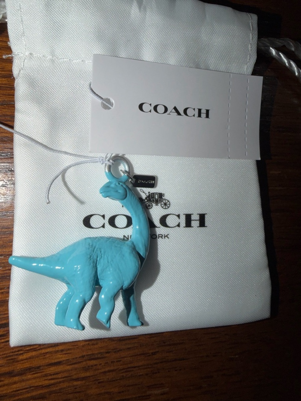COACH Dinosaur Charm